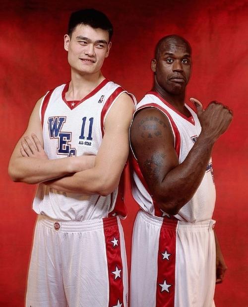 迅速适应了 迅速适应了