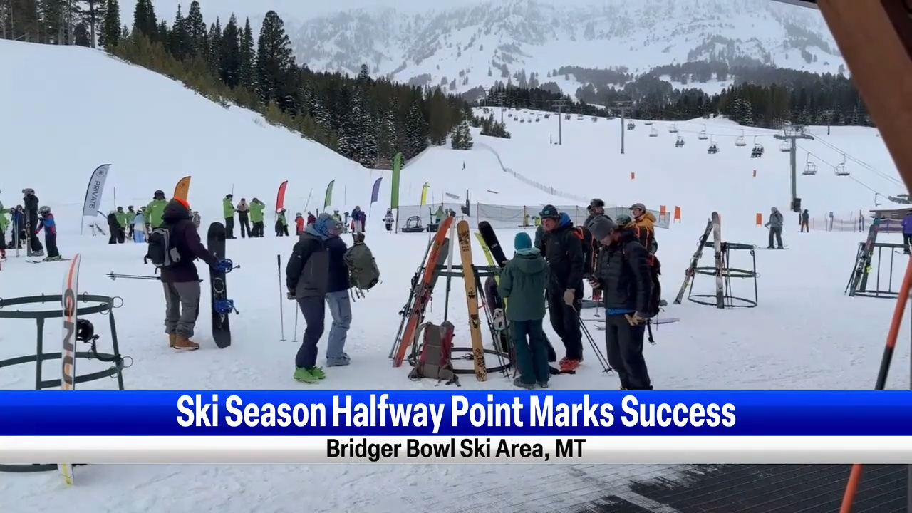 了个人的偏 了个人的偏